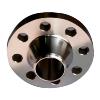 Stainless Steel Forged Flange