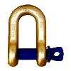 Alloy Steel D Shackle