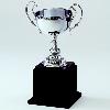 Metal Trophy Cup