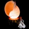 Colourful Sea Shell Lamp