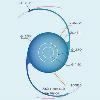 Polymethyl Methacrylate Multifocal Lens