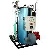 Non-IBR Reverse Fire Steam Boiler