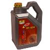 Automotive Gas Engine Oil