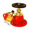 Fire Safety Landing Valve