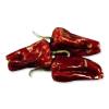 Deep Red Tomato Chilli