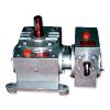 Double Worm Reduction Gear Box