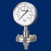 Fabricated Diaphragm Sealed Gauge