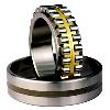 Double Row Cylindrical Roller Bearing