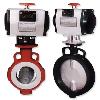 Cast Iron Butterfly Valve