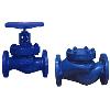 Globe Steam Stop Valve