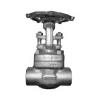 Forged Type Gate Valves