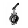 Low Pressure Drop Butterfly Valves