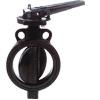 Wafer/ Wafer Lugged Encapsulated Butterfly Valve