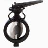 General Purpose Butterfly Valve