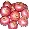 Preserved Fresh Red Onion