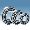 Single Row Deep Groove Ball Bearings