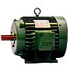 Induction Electric Motors