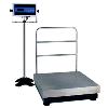 Industrial Weatherproof Platform Scale