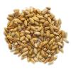 Anti- Bacterial Neem Seeds