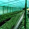 Tear Resistant Cultivation Net