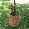 Natural/ Dyed Coloured Decorative Coco Basket