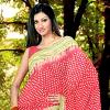 Designer Gadhwal Silk Saree