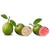 Pink And White Guava Pulp