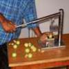 Hand Operated Amla Seed Remover