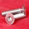 Stainless Steel Made Head Screw