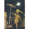 Solar Outdoor/ Street Light With Auto On-Off Facility