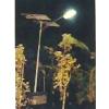 Automatic Solar Compact Fluorescent Street Light