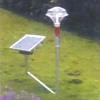 Solar Cfl Garden Light With Automatic On/ Off Facility