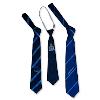 Stripe Designed School Ties