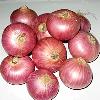 Fresh Packed Red Onion