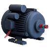 Steel/ Plastic Made Induction Motor