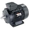 Squirrel Cage Crane Duty Induction Motor