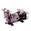 Mono Block Water Ring Vacuum Pump