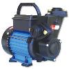 Domestic Self Priming Monoblock Pump