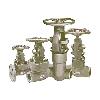 Industrial Purpose Forged Valve