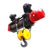 Electric Wire Rope Hoist