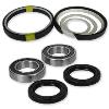 Mechanical Grade Oil Seals