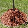 Garden Mulch For Soil Moisture Maintenance