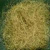 Natural Coconut Coir Fibre