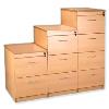 Termite Resistant File Storage Cabinets