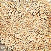 Hulled Type Sesame Seeds