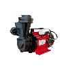 Domestic Purpose Self Priming Pump Set