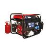 Industrial Purpose Gas Generator