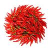 Pesticides Free Red Chillies