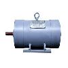 Shock Resistant DC Motor