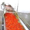 Tomato Puree / Paste Processing Plant